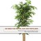 5FT Artificial Wicker Tree in Planter Pot for Indoor Outdoor Decor
